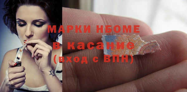 сатива Сатка