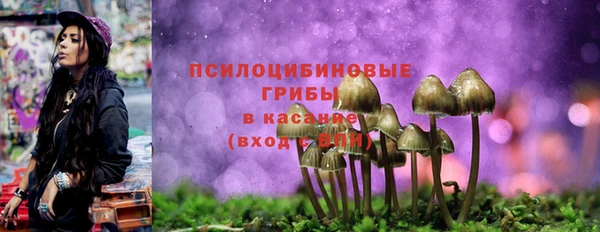 гидра Волоколамск