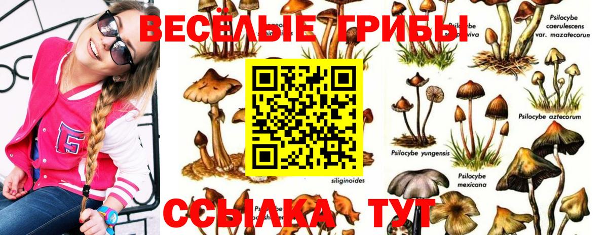 Рыбинск  Галлюциногенные грибы прущие грибы  Вход с VPN 