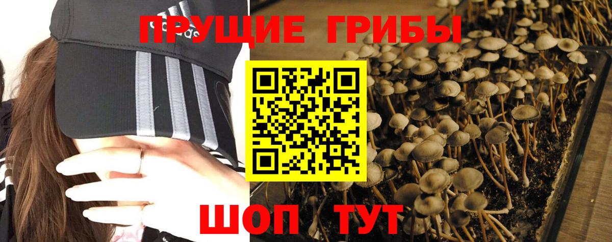 КОКАИН Рыбинск